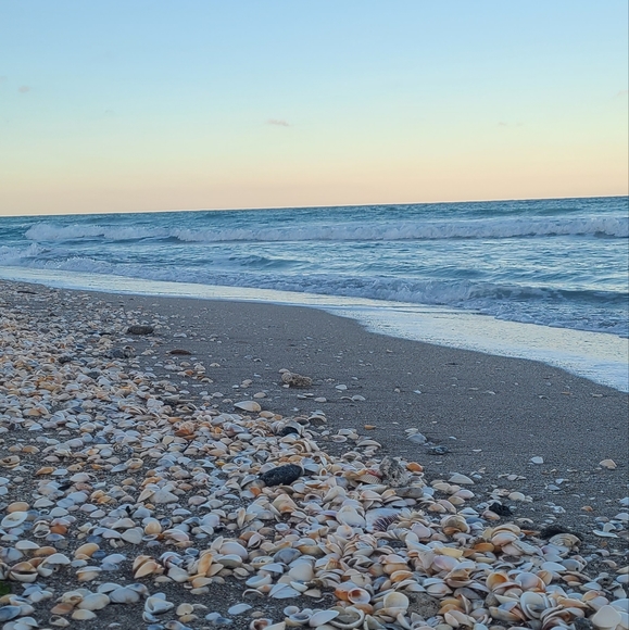 Meet your Posher, Sierra - Picture 1 of 2